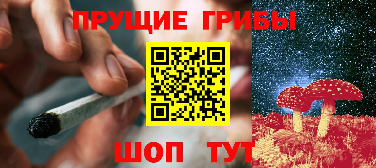 Псилоцибиновые грибы Psilocybine cubensis Нефтекамск