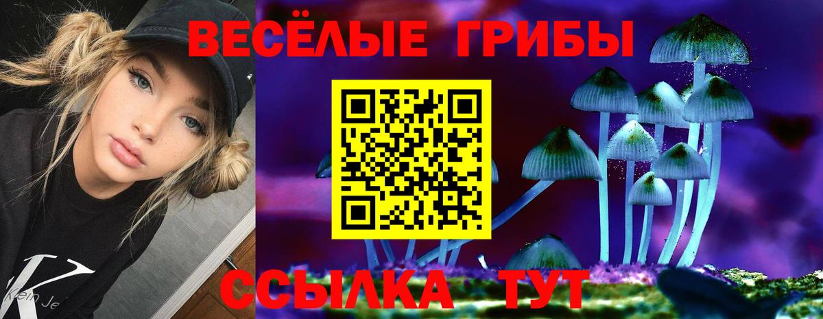 Псилоцибиновые грибы MAGIC MUSHROOMS  Вход с VPN  Нефтекамск 